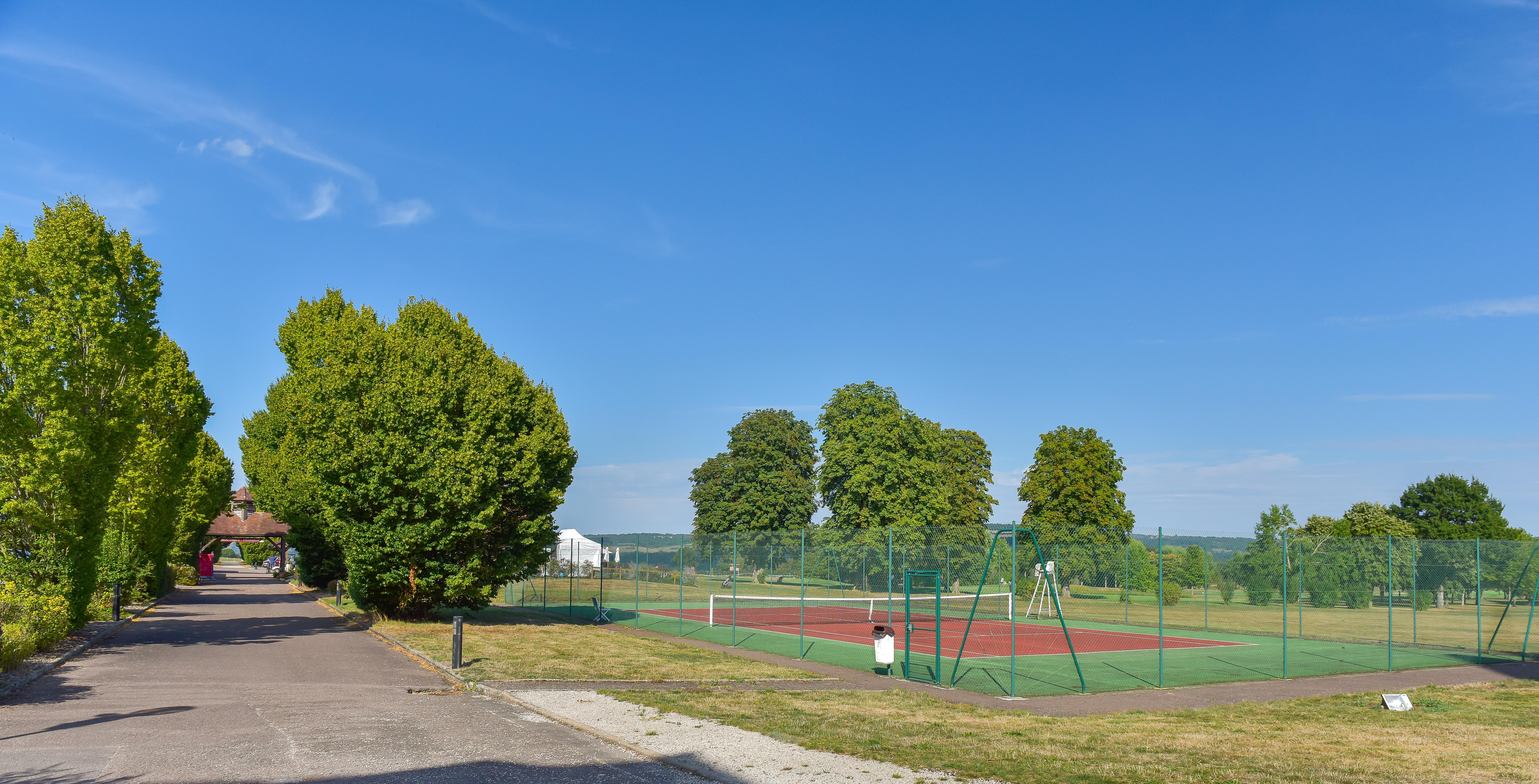 夏伊城堡高尔夫酒店 Chailly-sur-Armançon 外观 照片